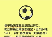 九游娱乐登录-包含勒沃库森取得关键胜利，球队信心高涨积分攀升的词条