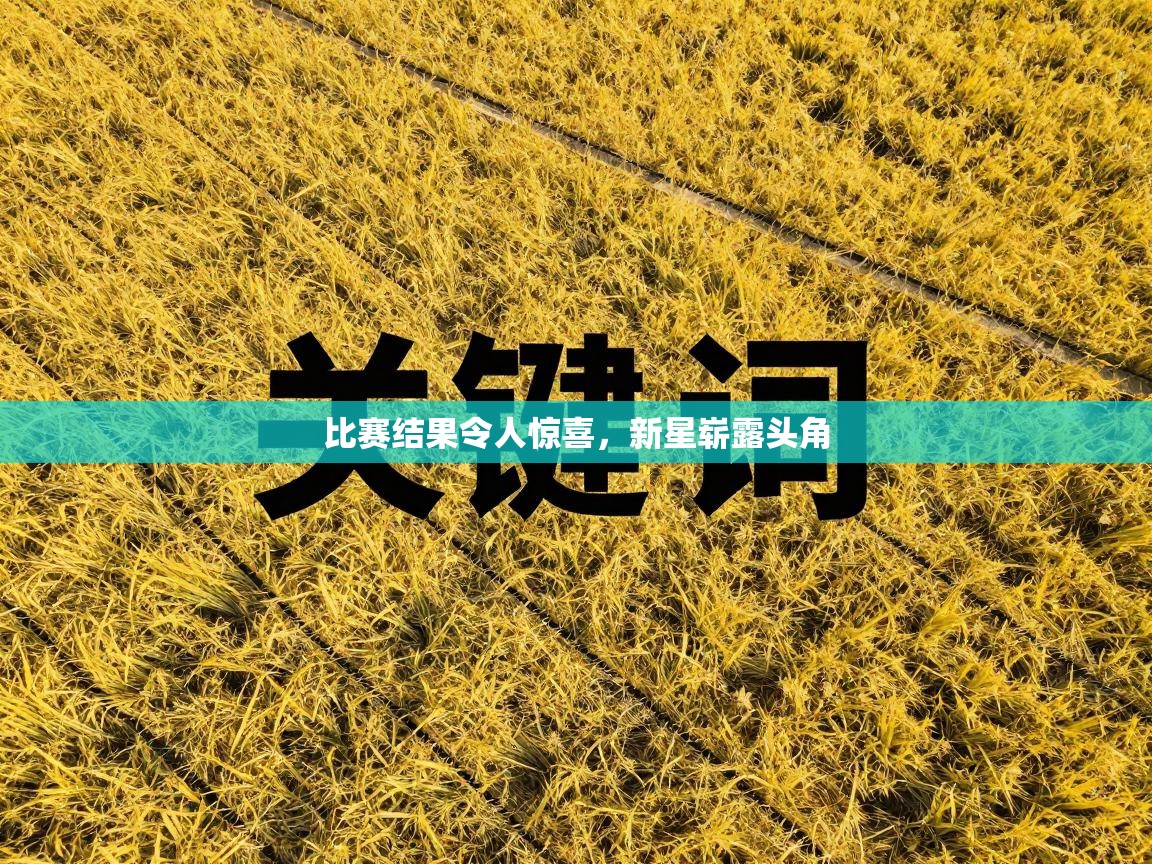 比赛结果令人惊喜，新星崭露头角