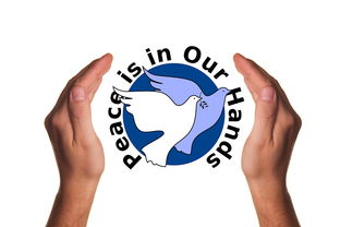 九游网页官网-决赛教练战术对决吸引全球关注,比赛中教练挑战是什么意思 第2张