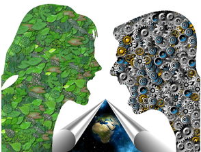 九游娱乐app-基层足球发展如何打破资源壁垒，足球如何突破  第3张