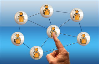 九游.中国官网-新加坡队赛制评析：通过赛制创新提升整体比赛表现，新加坡联赛什么水平  第3张